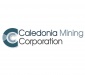 Caledonia: Exercise of share options