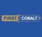 First Cobalt Begins Permitting and Environmental Programs at Iron Creek