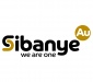 Sibanye Gold update